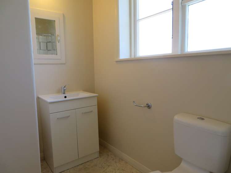 3 Birch Street Lower Hutt_6