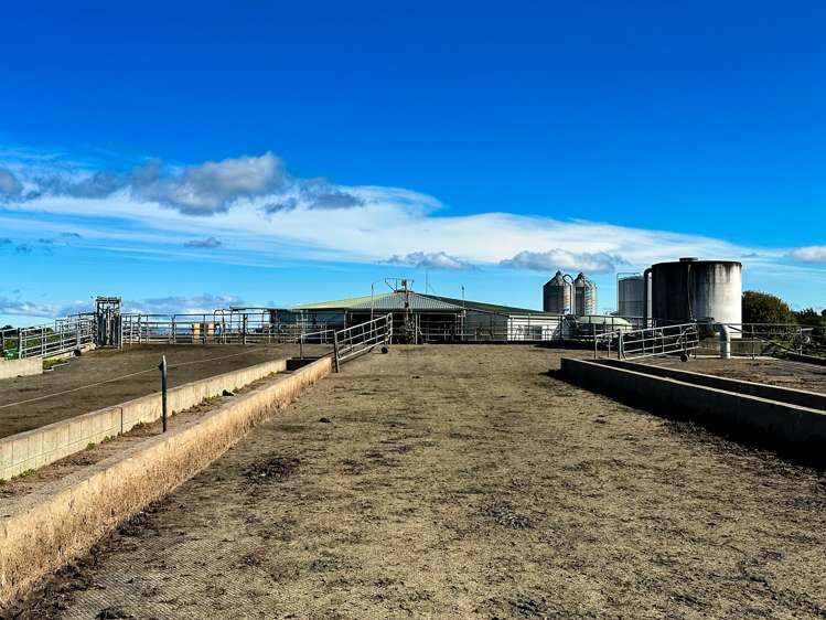 222 Boggyburn Road Winton Surrounds_18