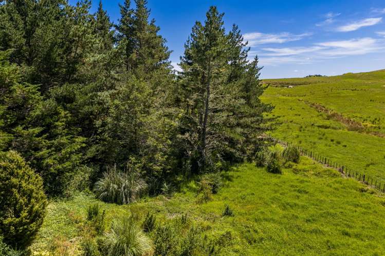 236 Prictor Road Wellsford_22