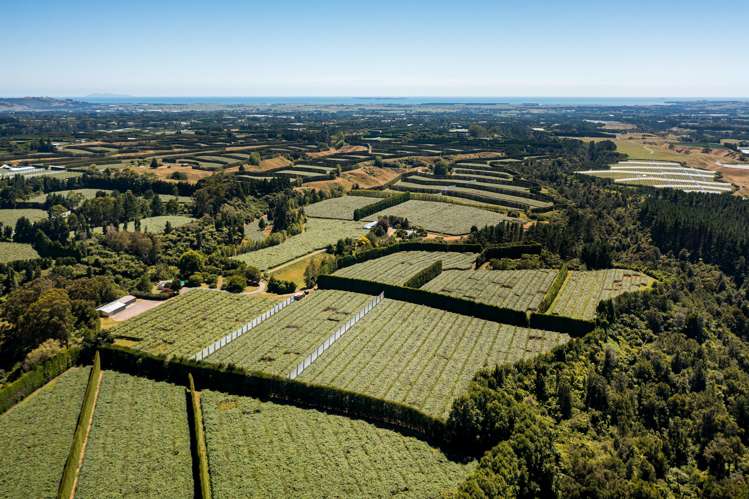 881b Te Matai Road Te Ranga_15