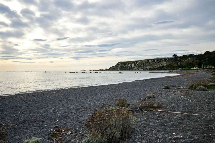 156c Esplanade Kaikoura_17
