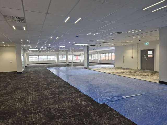 Level 2, 100 Tory Street Te Aro_1