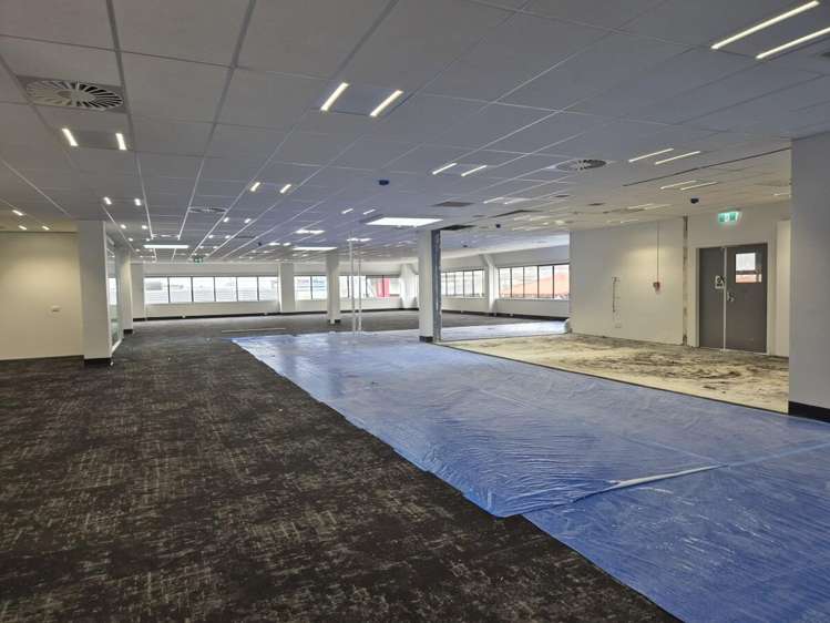 Level 2, 100 Tory Street Te Aro_1