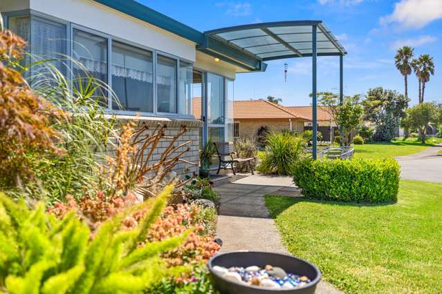 12 Kentia Avenue Mount Maunganui_3