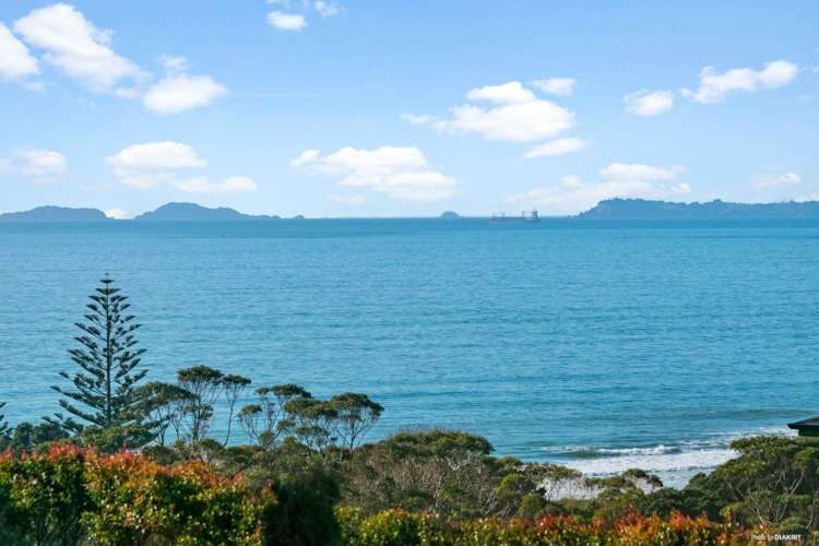 37 Bearing Parade Long Bay_12