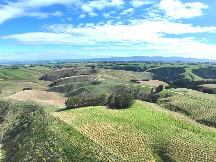 174 McCulloch Road Awamangu_26