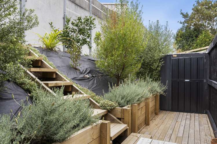 16c Eaglehurst Road Ellerslie_18