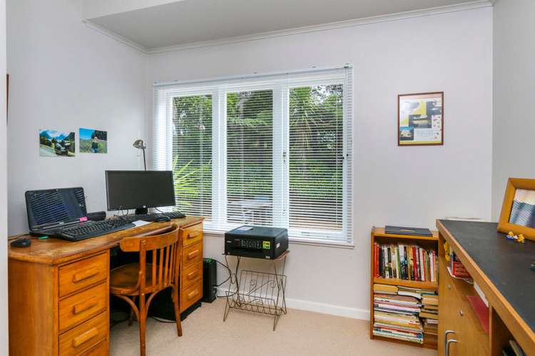 55 Goodall Street Hillsborough_16