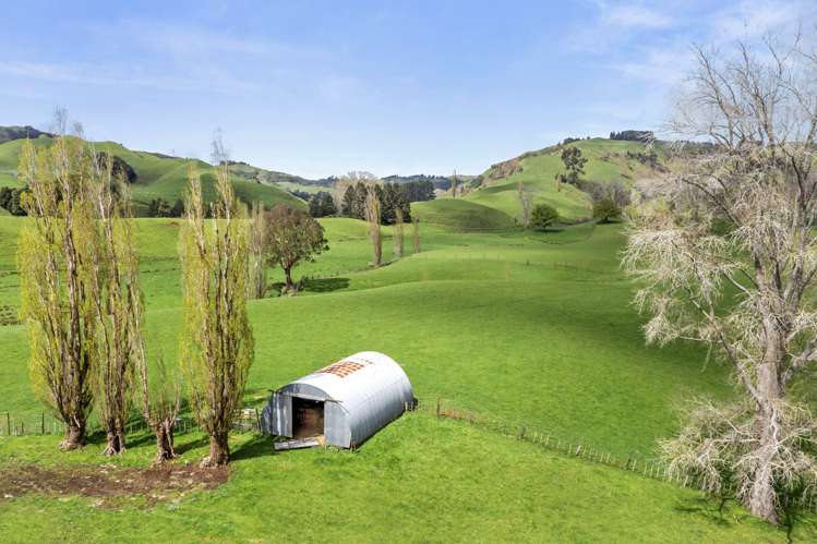 1741 Tikitiki Road Te Kuiti_18