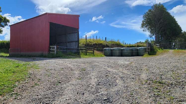 71 Lepper Road Inglewood_13