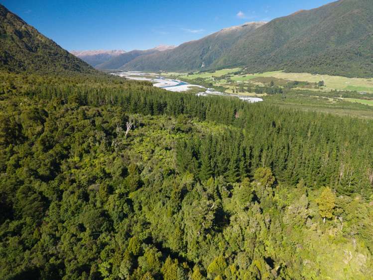 Bell Hill Road Inchbonnie_0