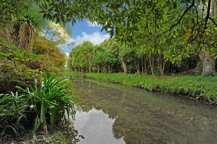 21 Renwick Place Hillmorton_11