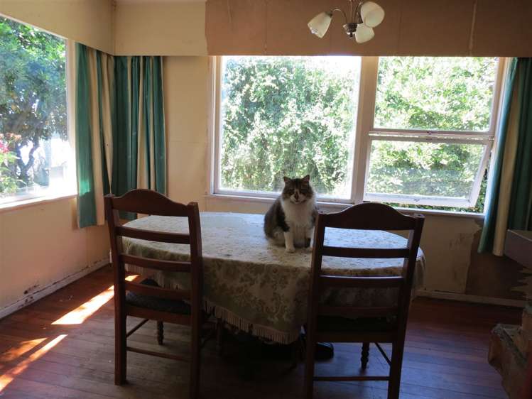 37 Central Road Lower Moutere_12