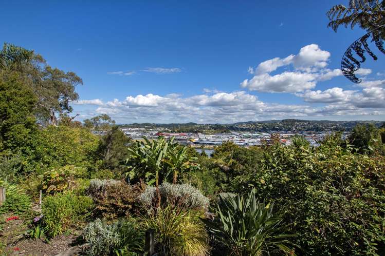 48 Punga Grove Avenue Riverside_12