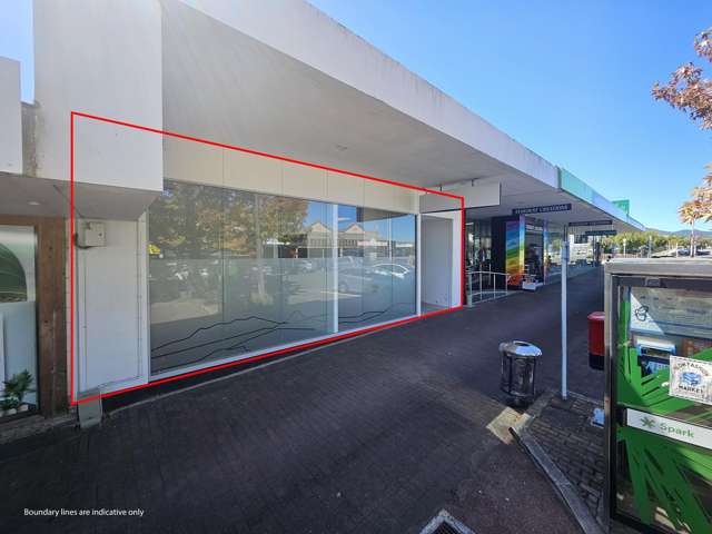 42 Horomatangi Street Taupo_1