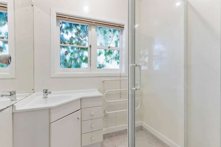 23 McArthur Avenue St Heliers_17