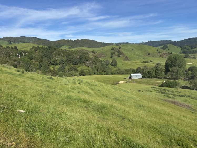 Paraketu Road Ruapehu_11