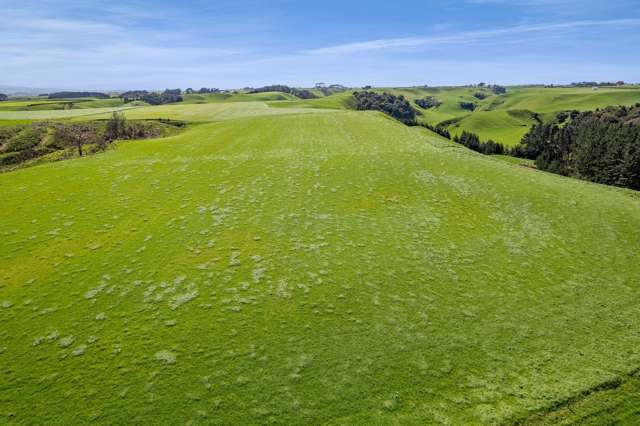 0n Mountain Road Normanby_3