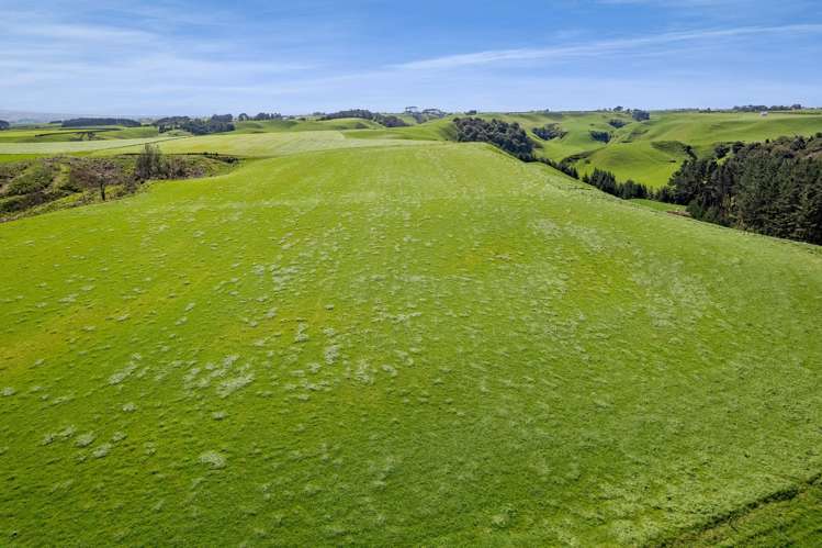 0n Mountain Road Normanby_3