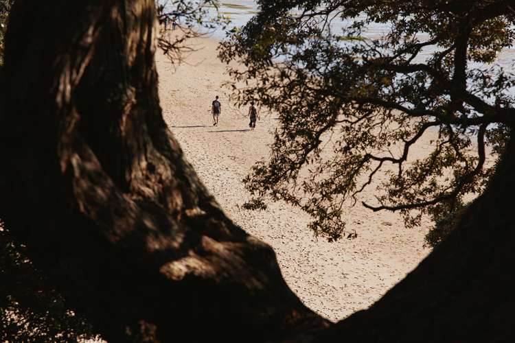 9c Saint Michaels Avenue Point Chevalier_15