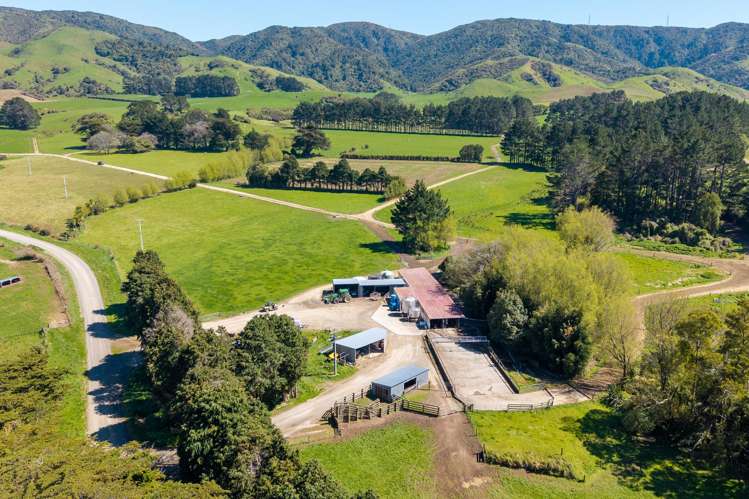 100 Inglis Road Pahiatua_8