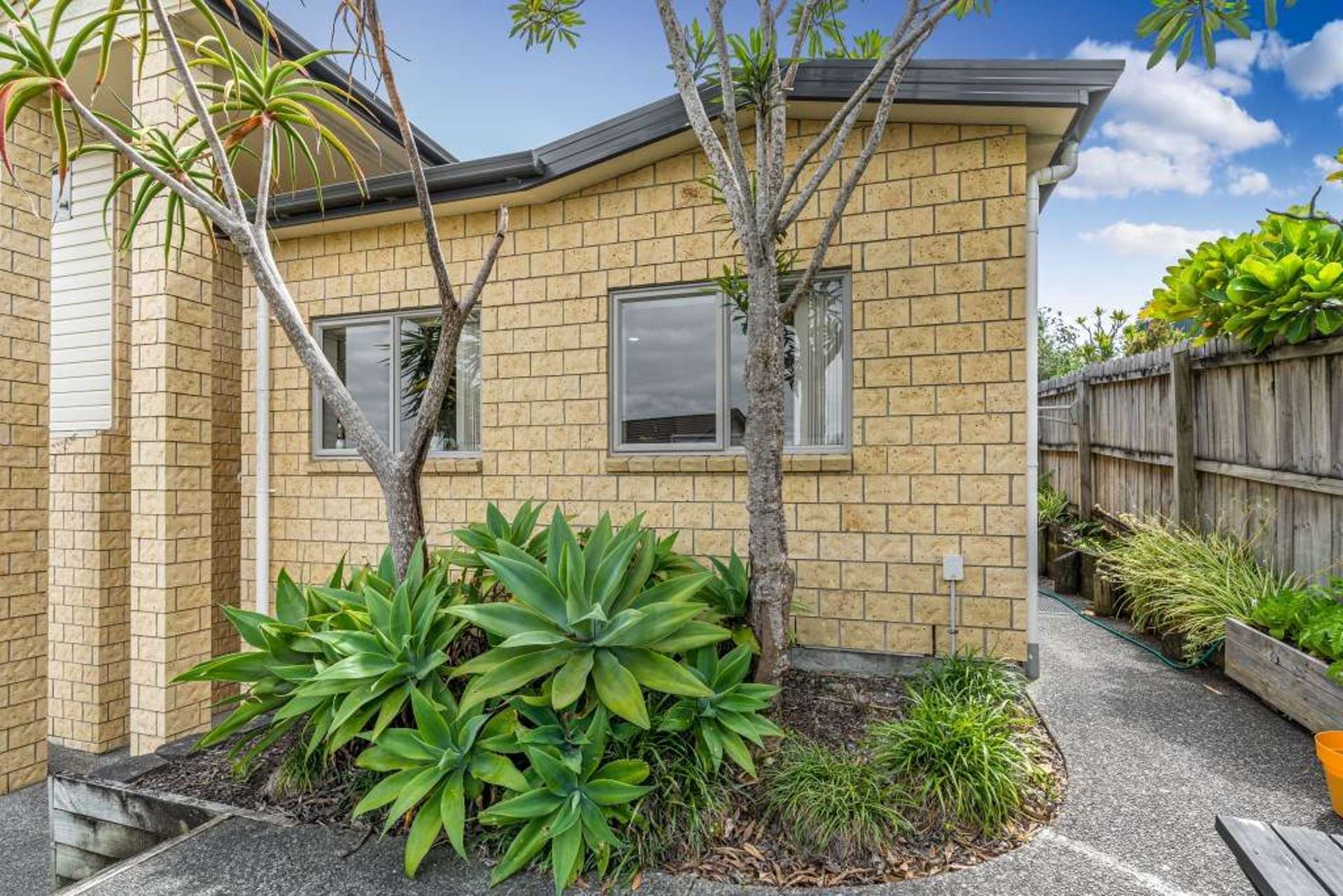 14A Kittiwake Drive Albany_0