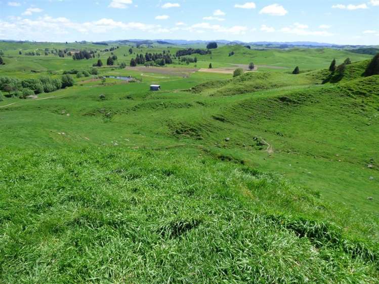 414 Kahuwera Road Te Kuiti_22