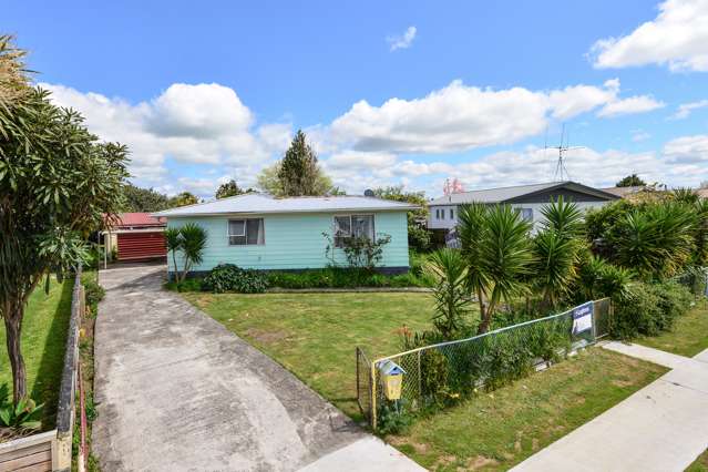 31 Hyde Avenue Nawton_1