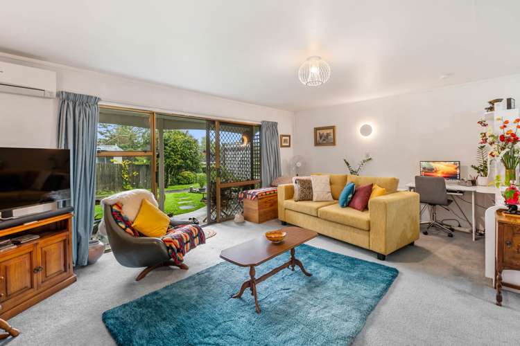 9a Galbraith Street Springfield_8