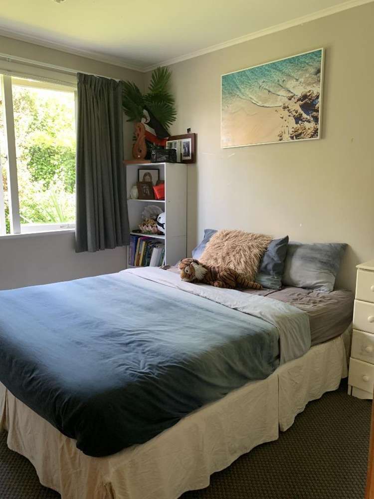 6 Larnach Street 1148_7
