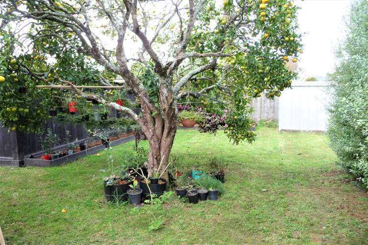 2 Elizabeth Street Putaruru_13