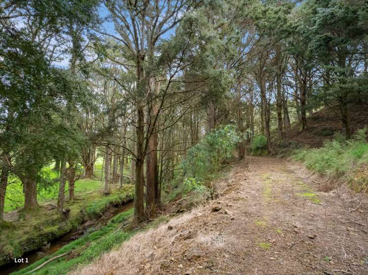 Lot 1 or Lot 2, 0 Roydon Drive Ruatangata West_7