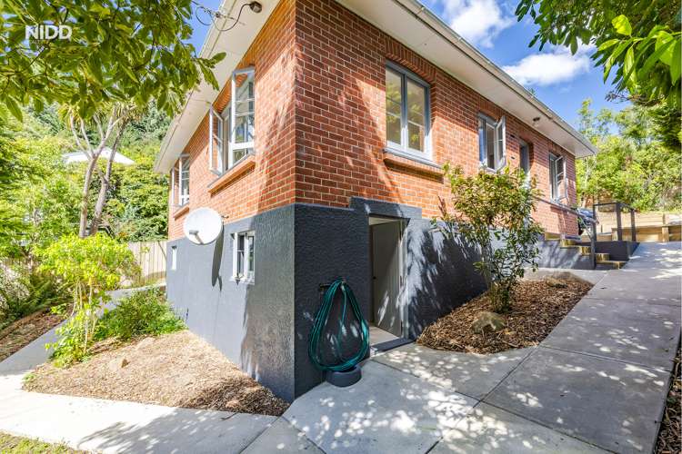 60 Montague Street North East Valley_12