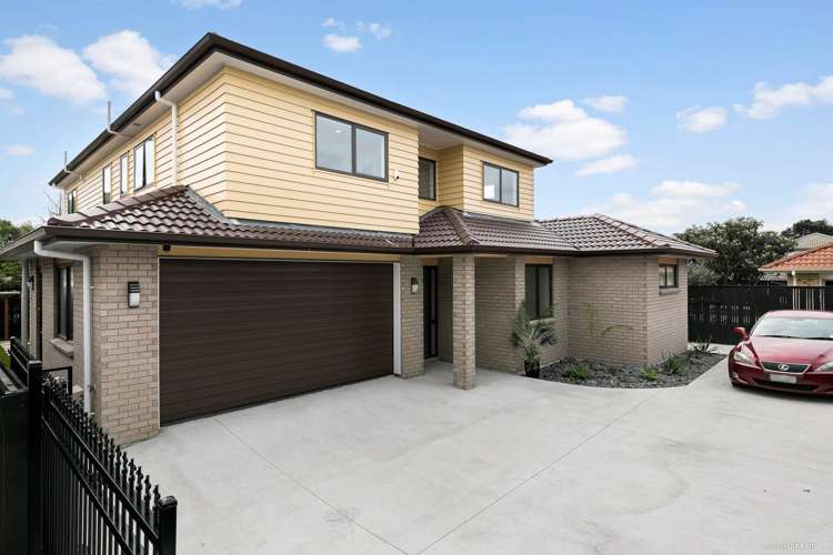 201a Captain Springs Road Onehunga_1