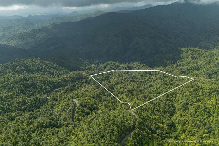 974 The 309 Rd Whitianga_29