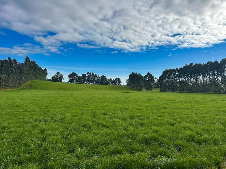 318 Waipango Ermedale Road Gummies Bush_18