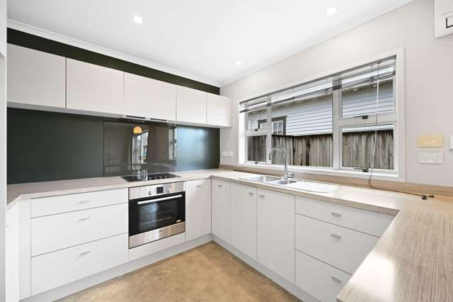 17A Maitland Street 1067_1