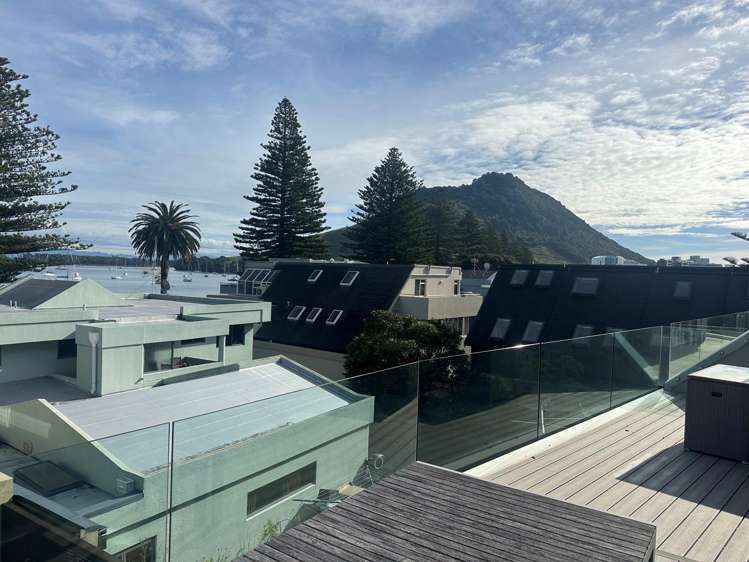 3b Prince Avenue Mount Maunganui_10