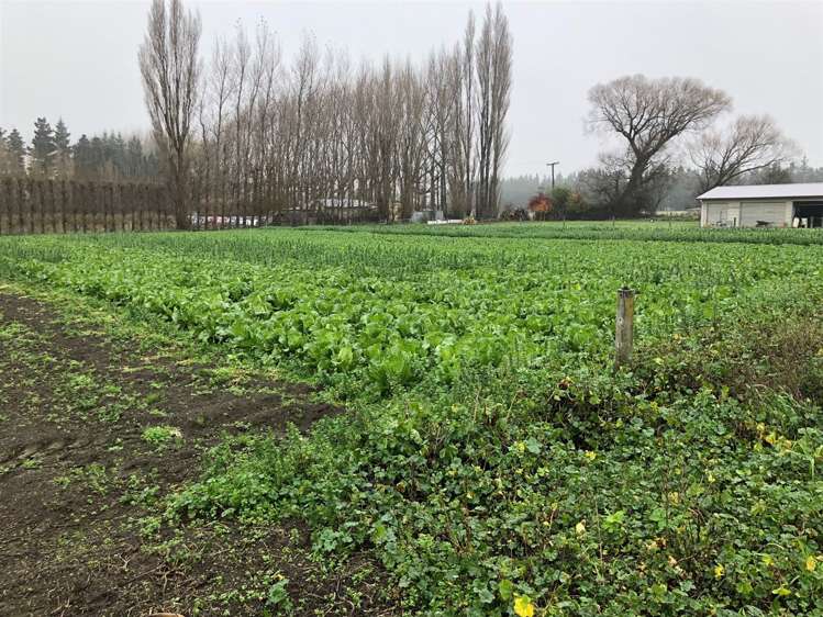 44 School Road Yaldhurst_16