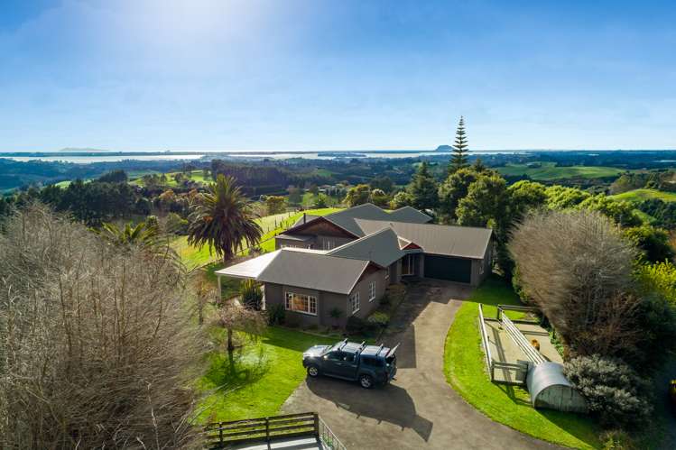 230f Waipapa Block Road Whakamarama_17