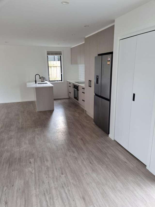  3/10 Palm Grove Berhampore_1