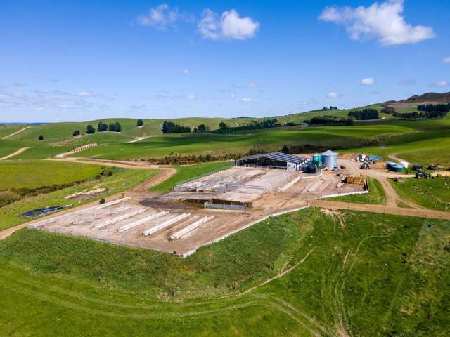 Central Canterbury Dairy