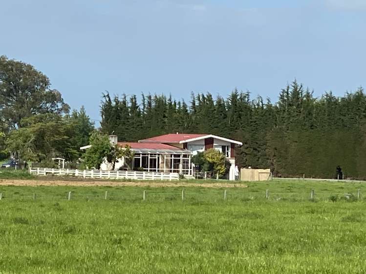 1005 Woodlands Invercargill Highway Longbush_5