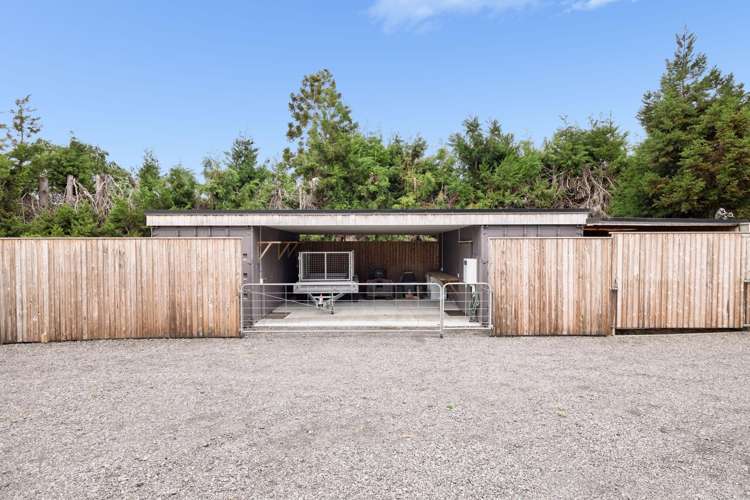 145A Whakamarama Road Whakamarama_17