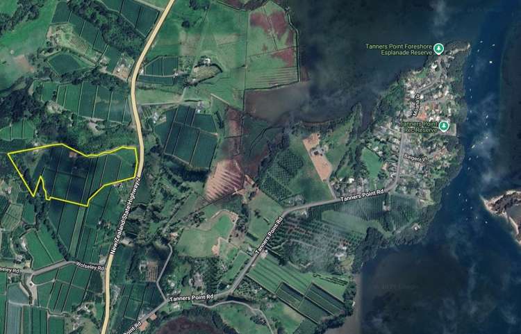 863 State Highway 2 Tanners Point_5