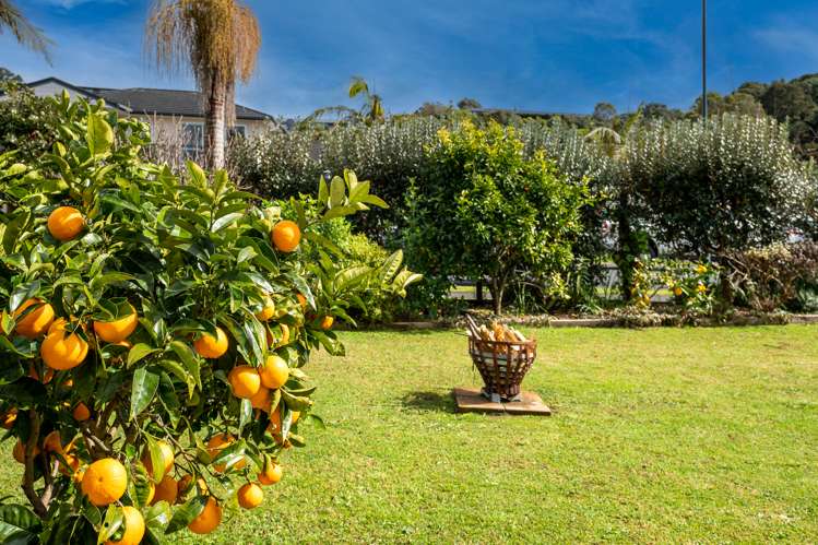 8 Manawa Drive Ngunguru_8