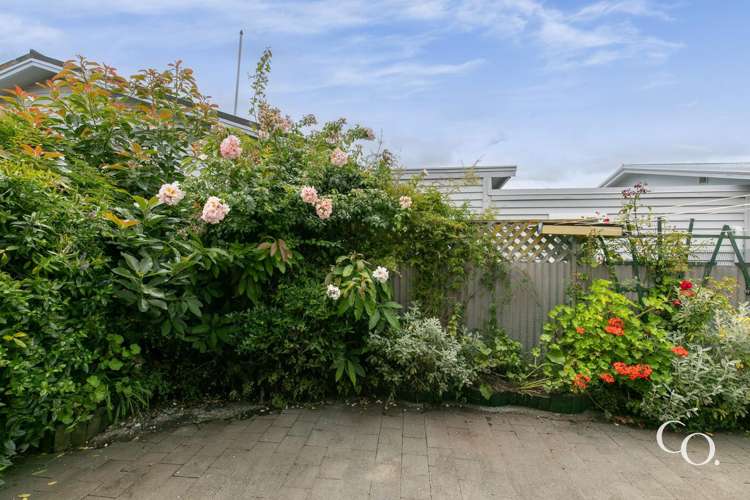 311a Southampton Street West Hastings_19