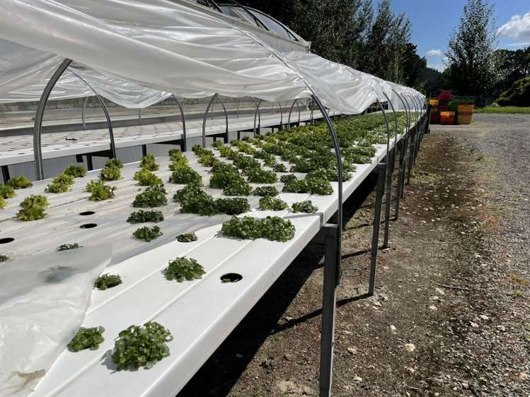 9 Karapiro Road Karapiro_21