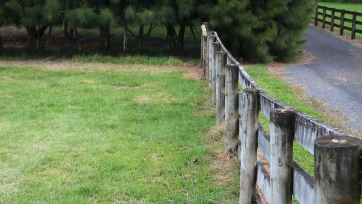 Brenda Gardner Way Maunu_9