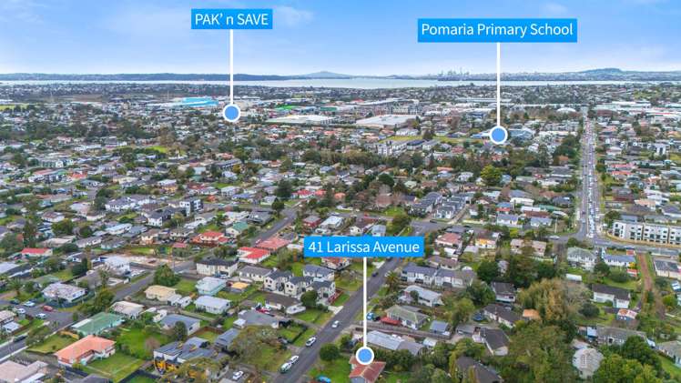 41 Larissa Avenue Henderson_16